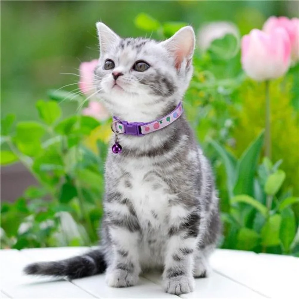 20PCS Cute Cat Collars Breakaway with Bell,